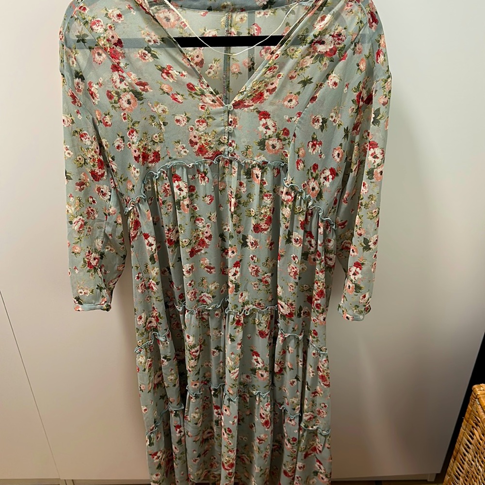 Zara romantic maxi dress
